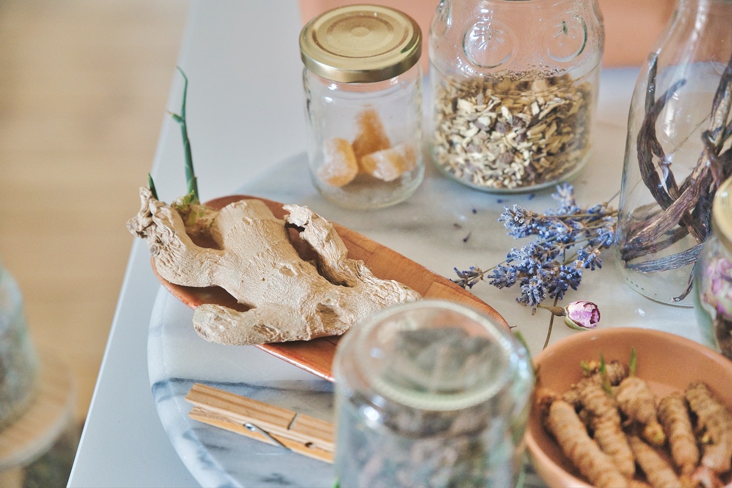Integrando la farmacia tradicional con el reino fungi
